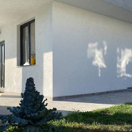 Lola seaview guest house. Уютный Домик в Варне Варна Экстерьер фото